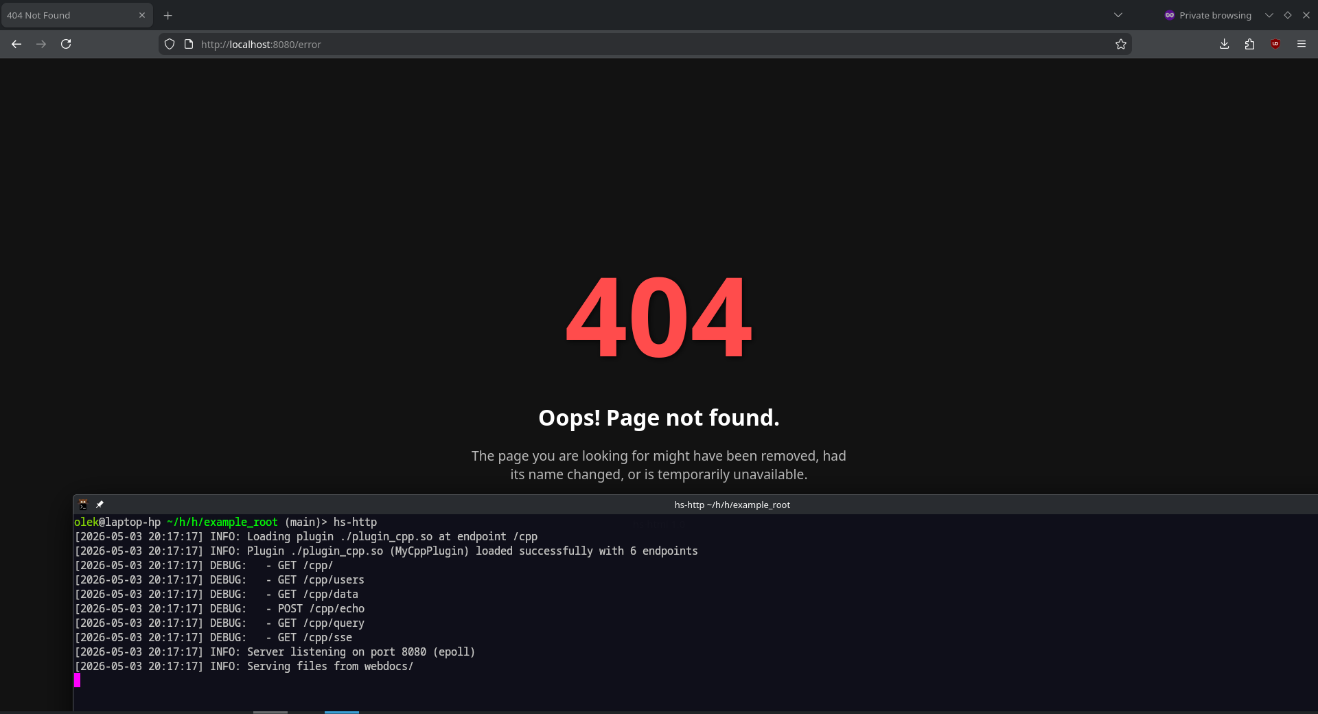 hs-http 404 page